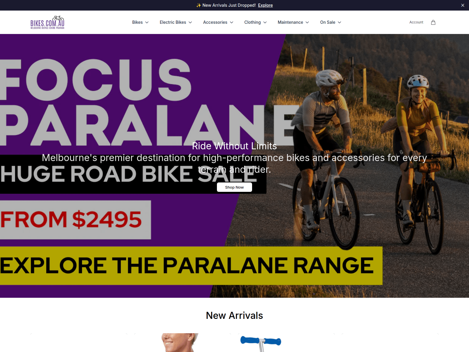 Screenshot of bikesgear.shop