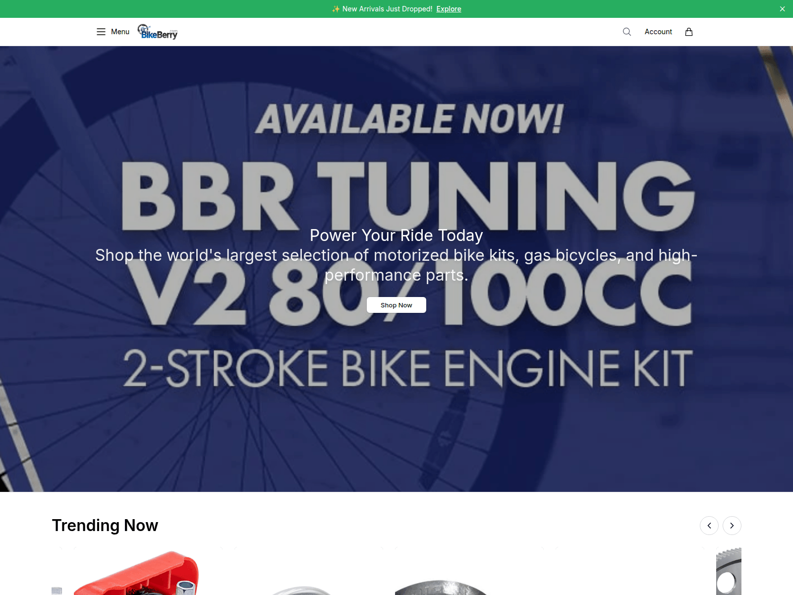 のスクリーンショット bikeberryhub.shop