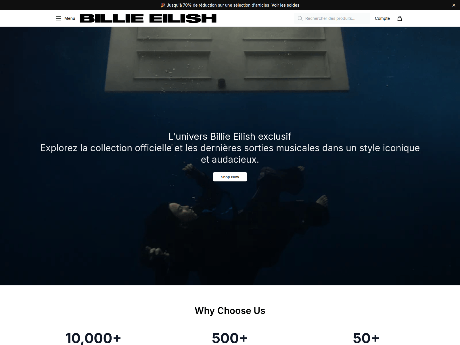 Screenshot of billieeilishfashion.shop