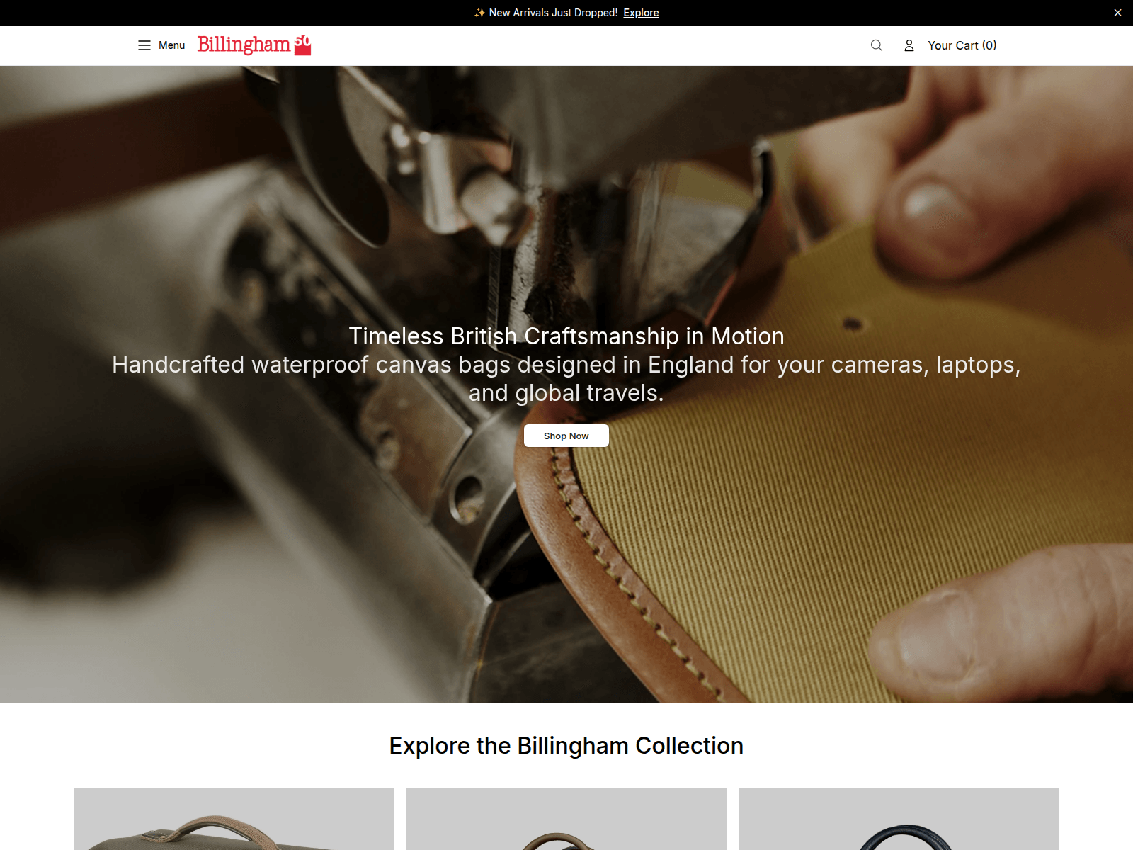 Screenshot of billinghamstore.shop