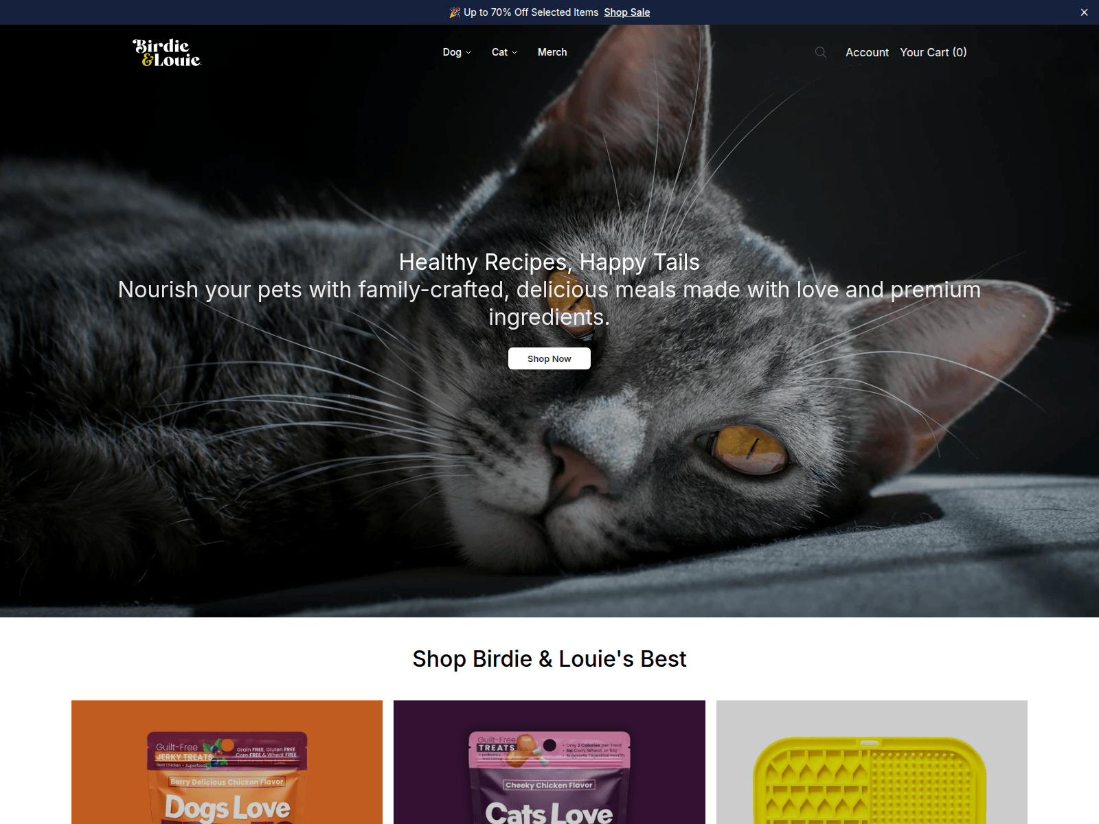 Screenshot of birdaura.shop