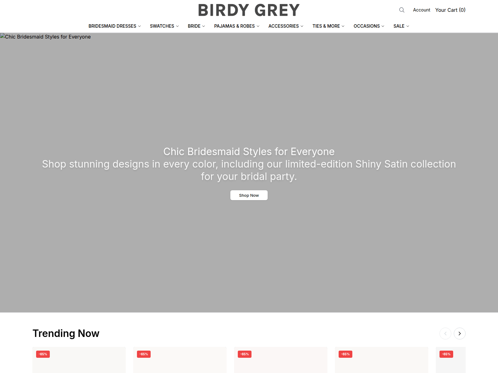 Screenshot of birdygreyshop.shop