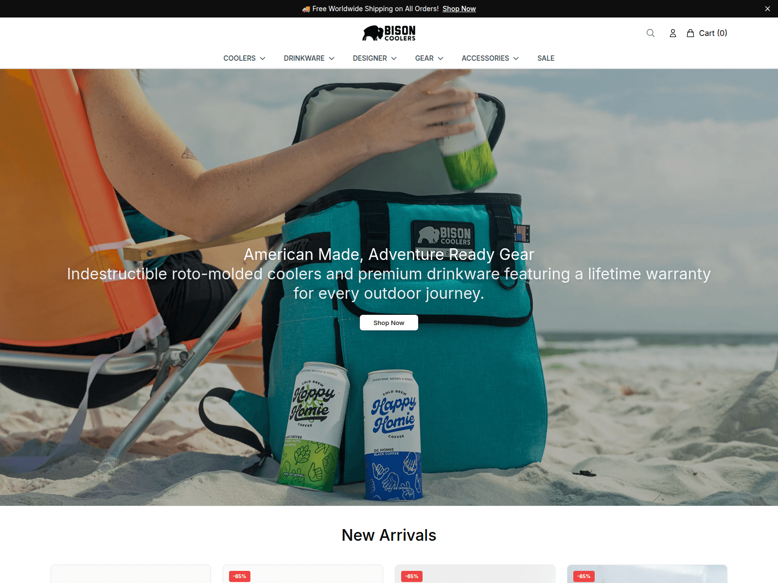 Screenshot of bisoncoolersstore.shop