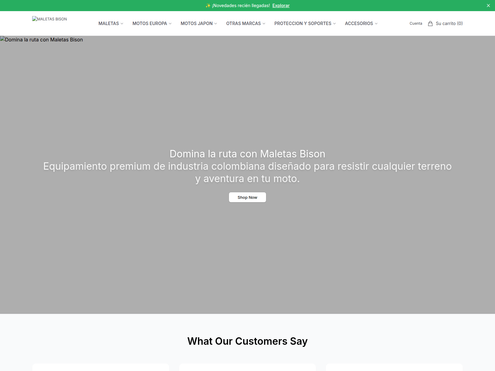 Screenshot of bisonmaletas.shop