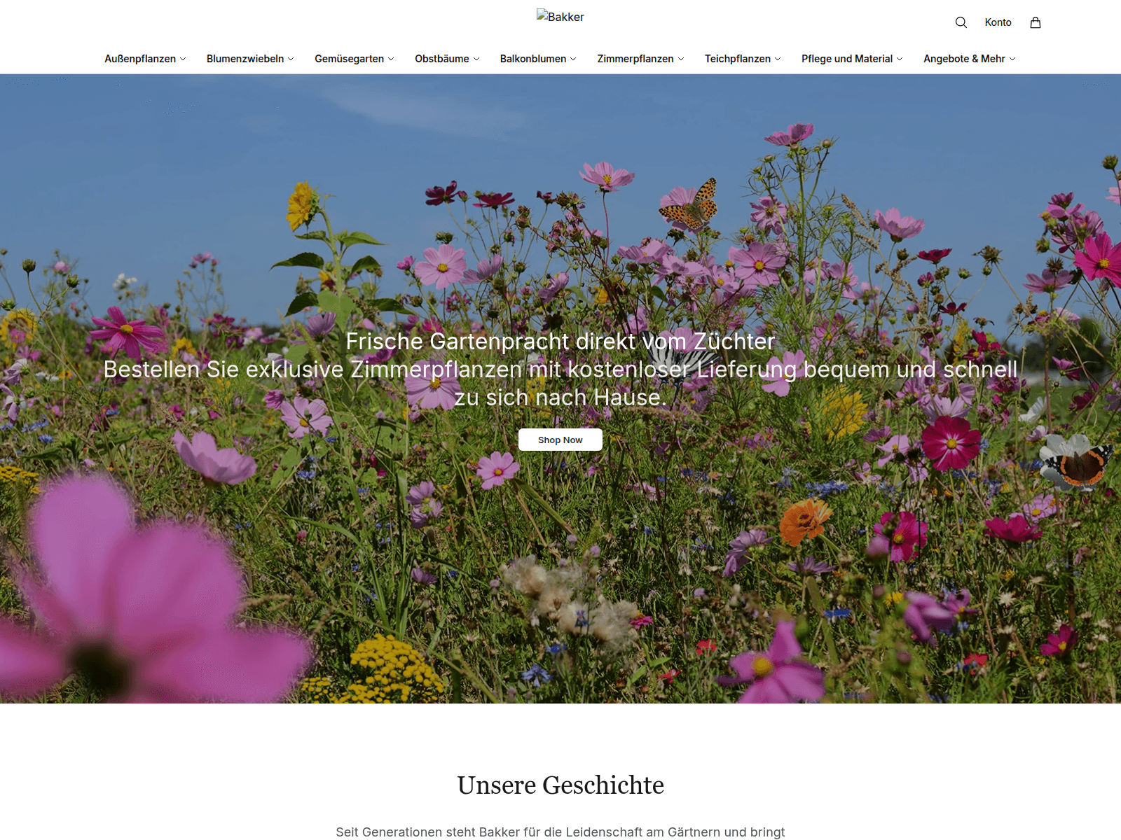 Screenshot of bkker.shop
