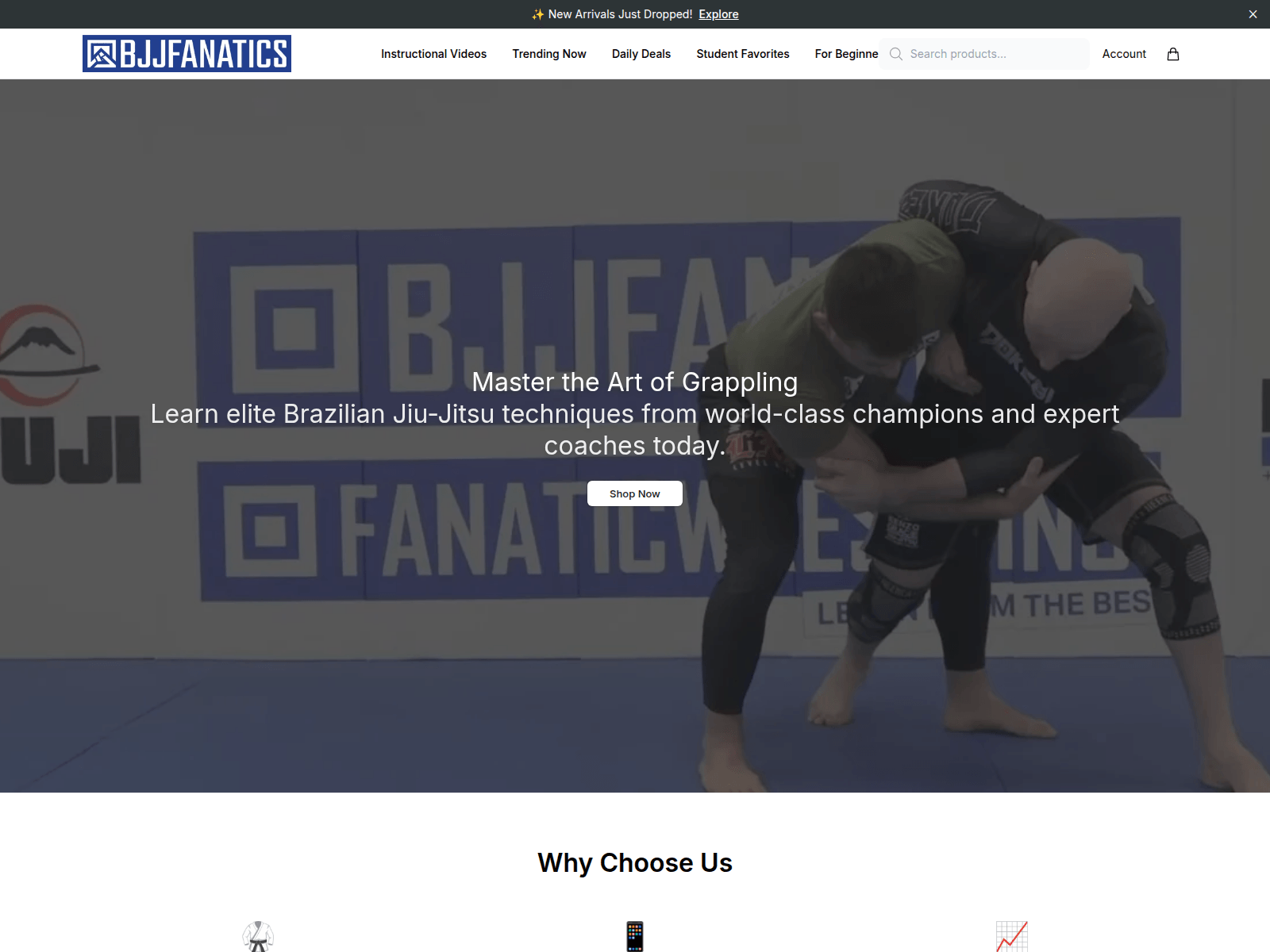 Screenshot of bjfactive.shop