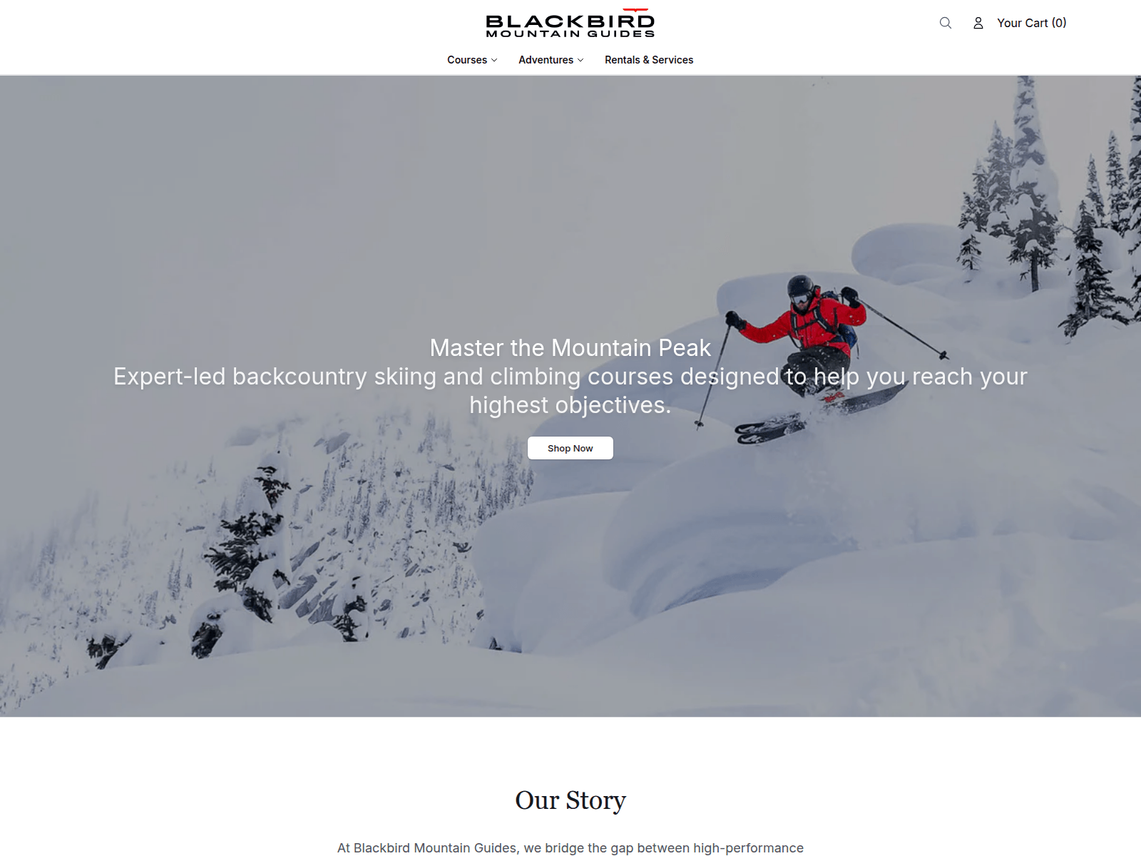 Screenshot of blackbirdmountainguideshq.shop