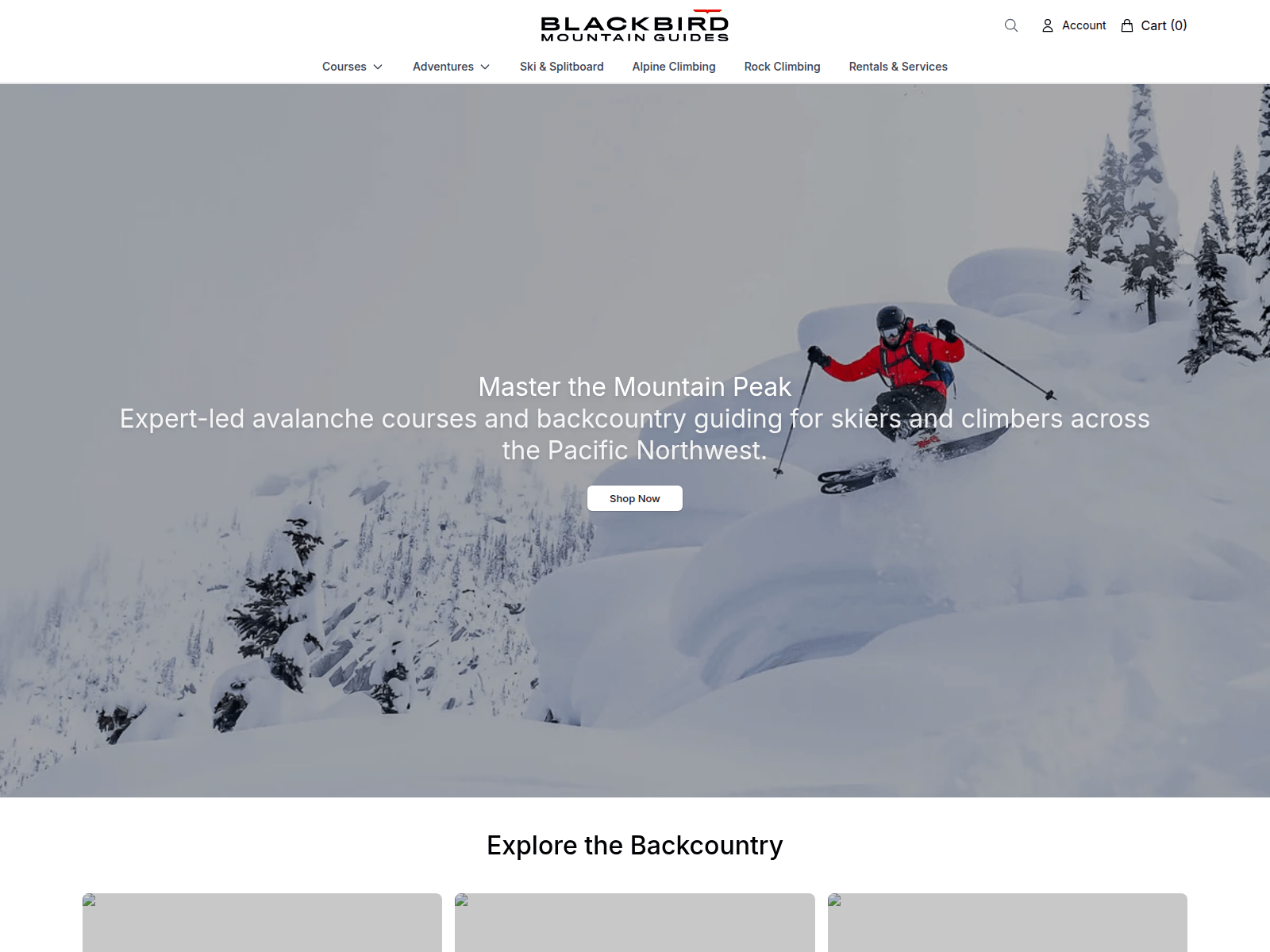 Screenshot of blackbirdmountainguidesoutdoor.shop