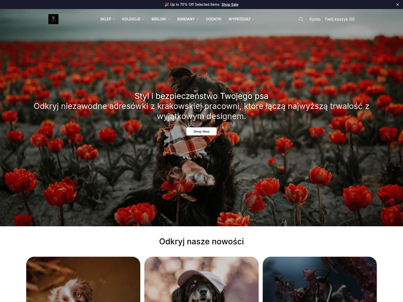 Screenshot of blackdogshopco.shop