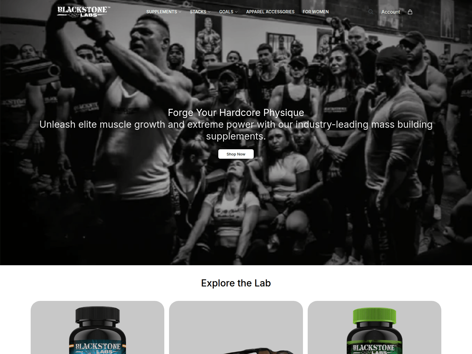 Screenshot of blackstonelabsshop.shop