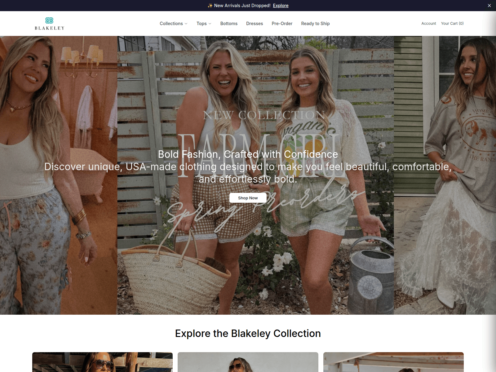 Screenshot of blakeley.shop