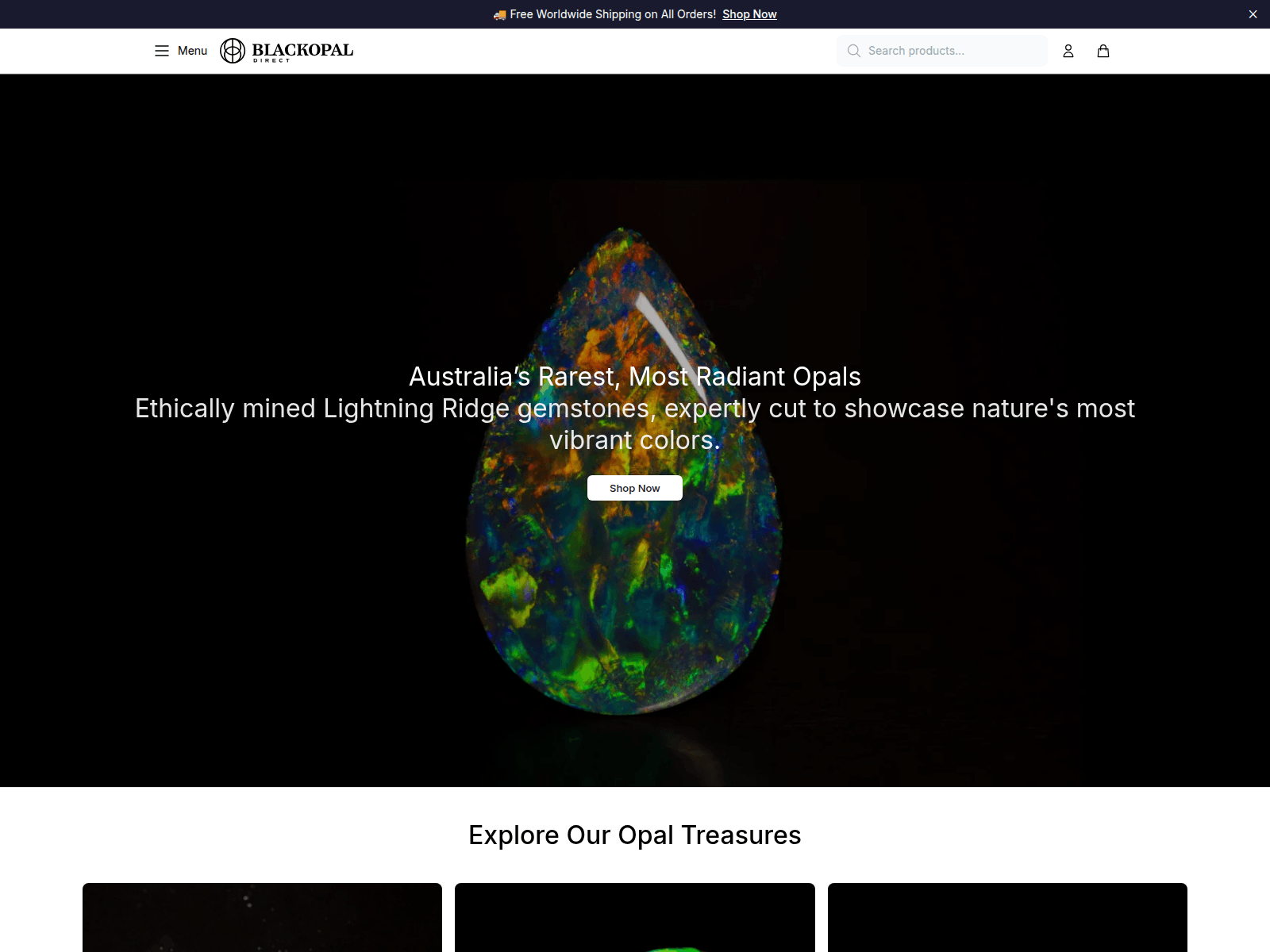 Screenshot of blakly.shop