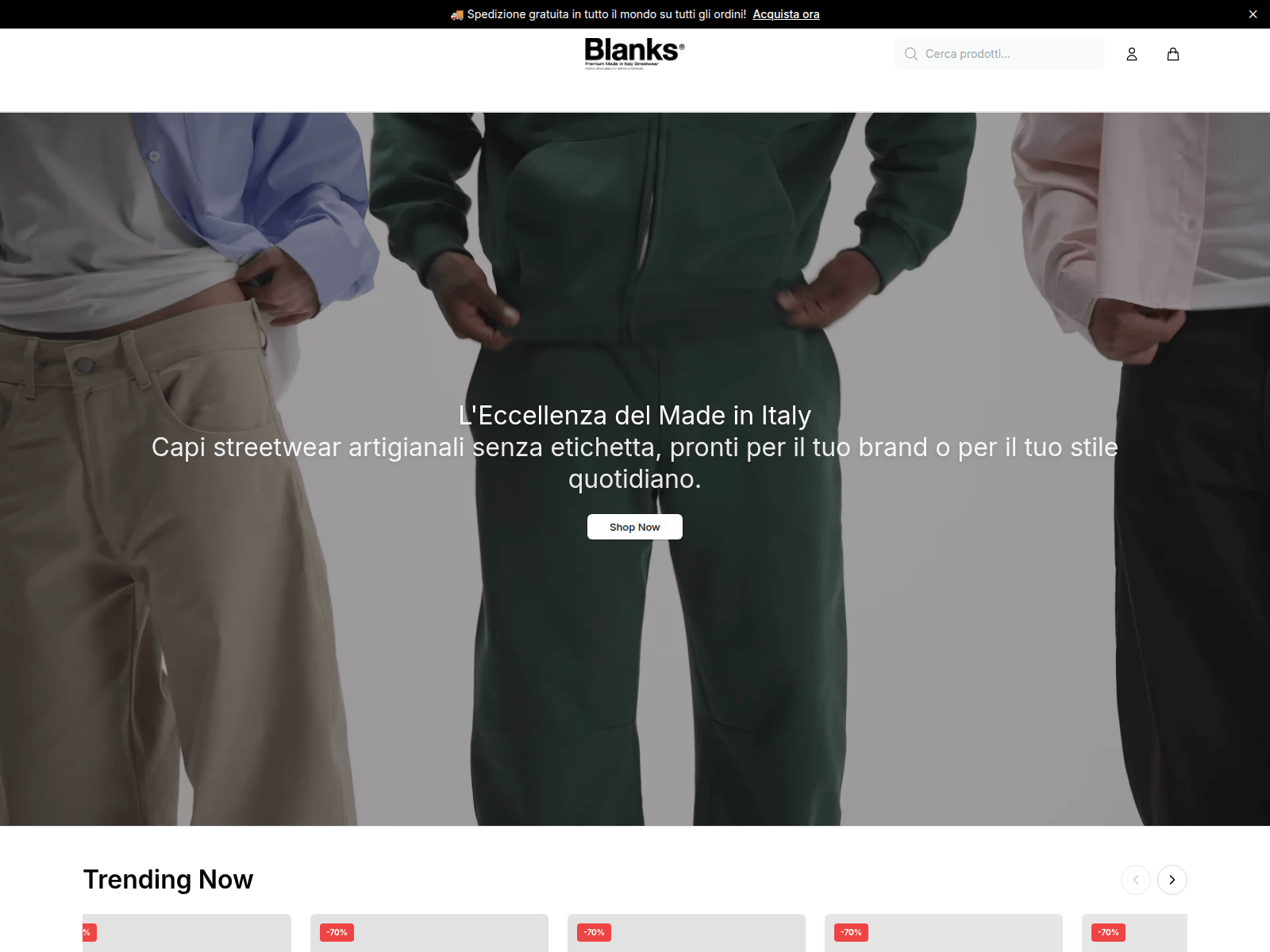 Screenshot of blanksfashionco.shop