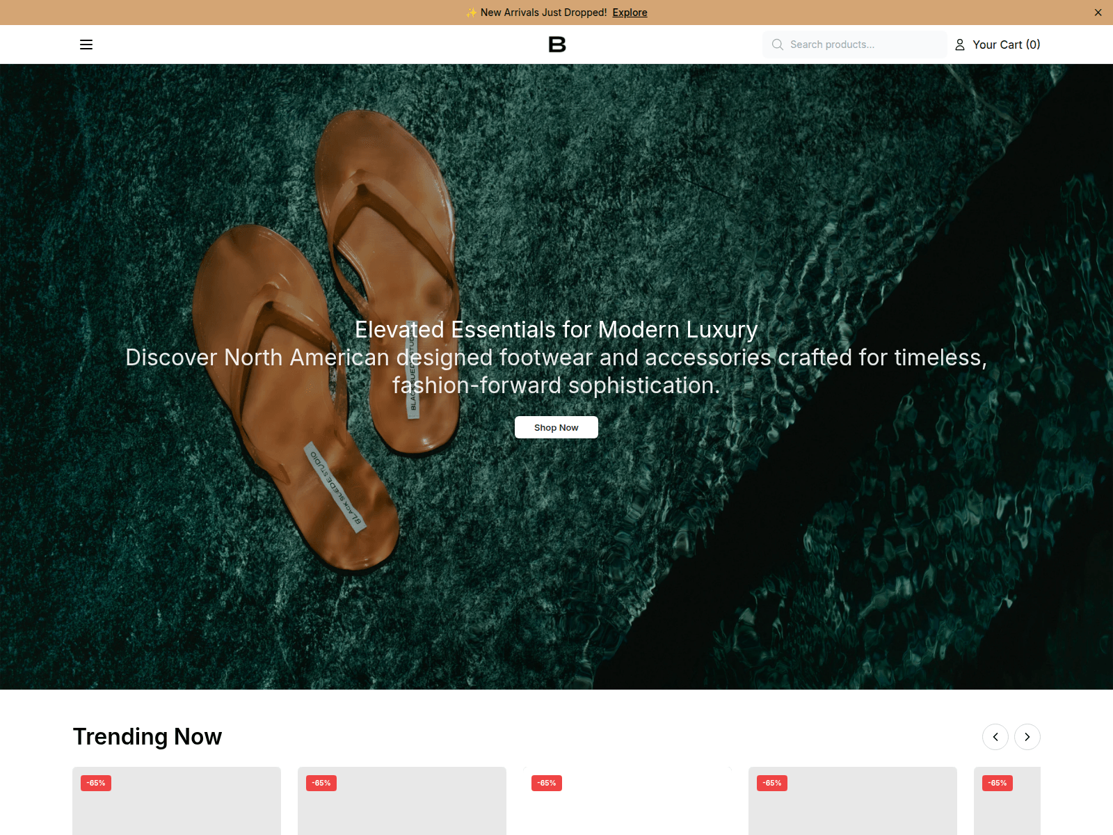Screenshot of blacksuedestudioshop.shop