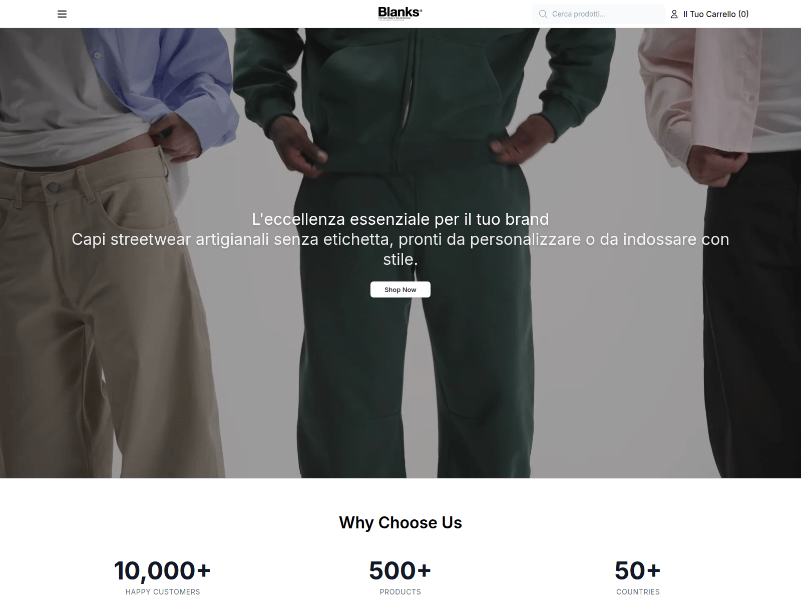 Screenshot of blanksapparel.shop