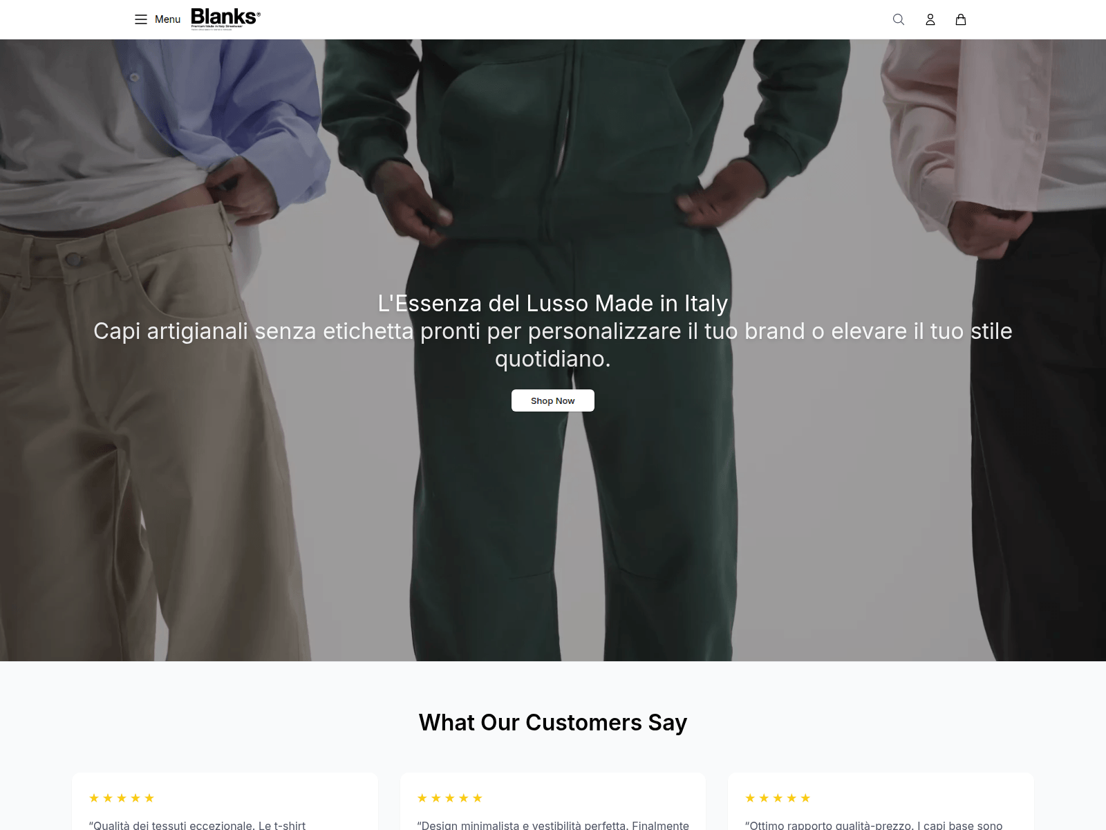 Screenshot of blanksstudio.shop