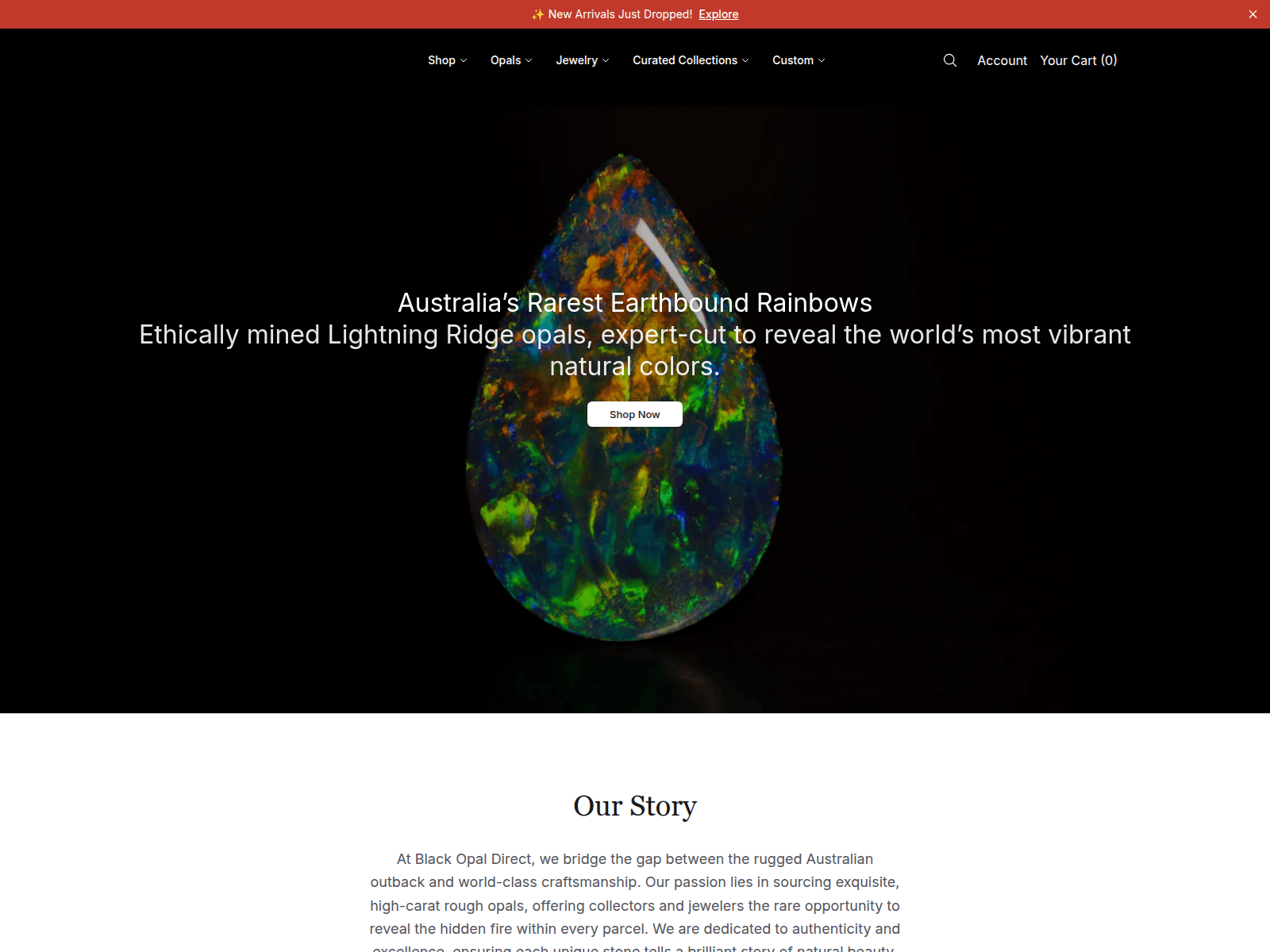Screenshot of blkop.shop