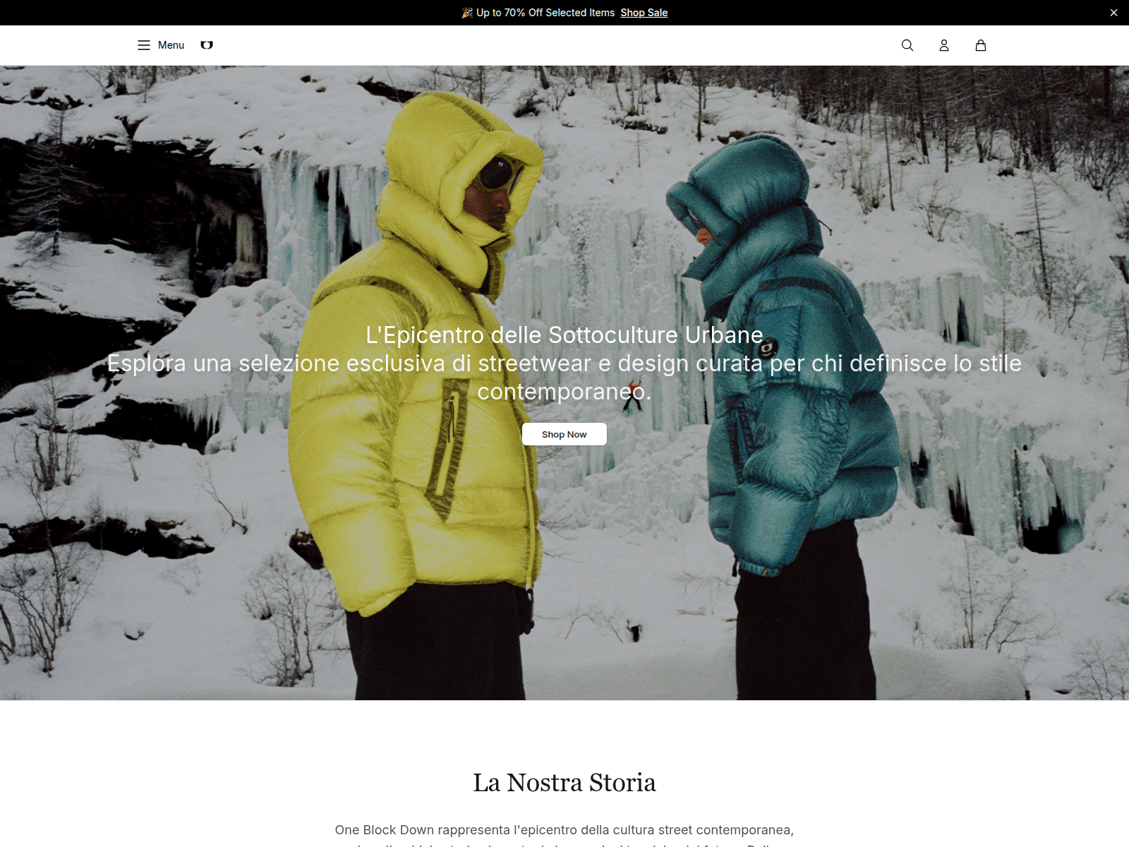 Screenshot of blockdownshop.shop