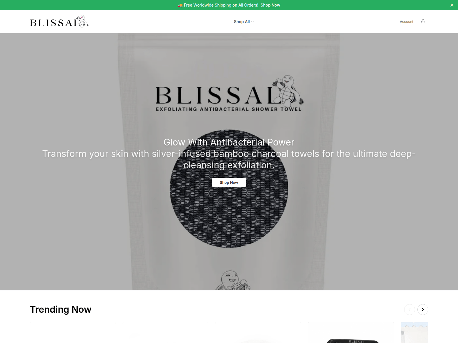 Screenshot of blissalshop.shop