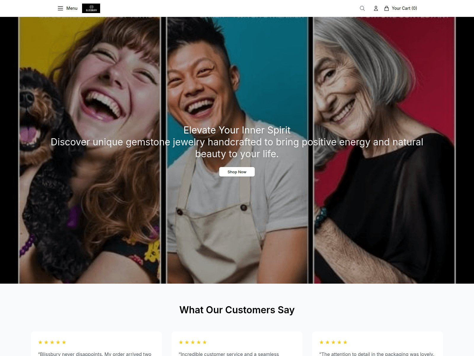 Screenshot of blissburyco.shop