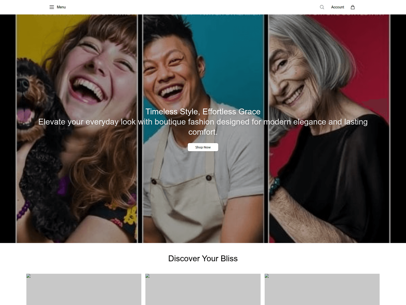 Screenshot of blisdeco.shop