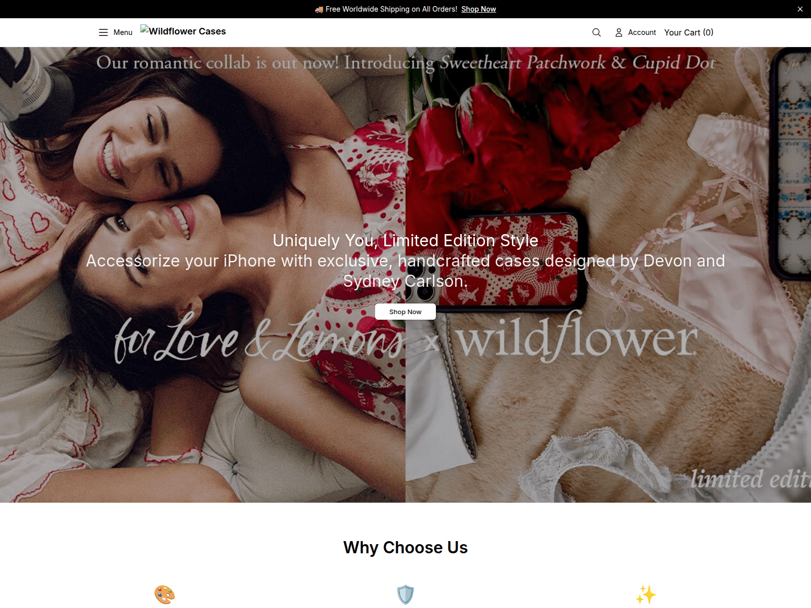 Screenshot of bloomcasehq.shop