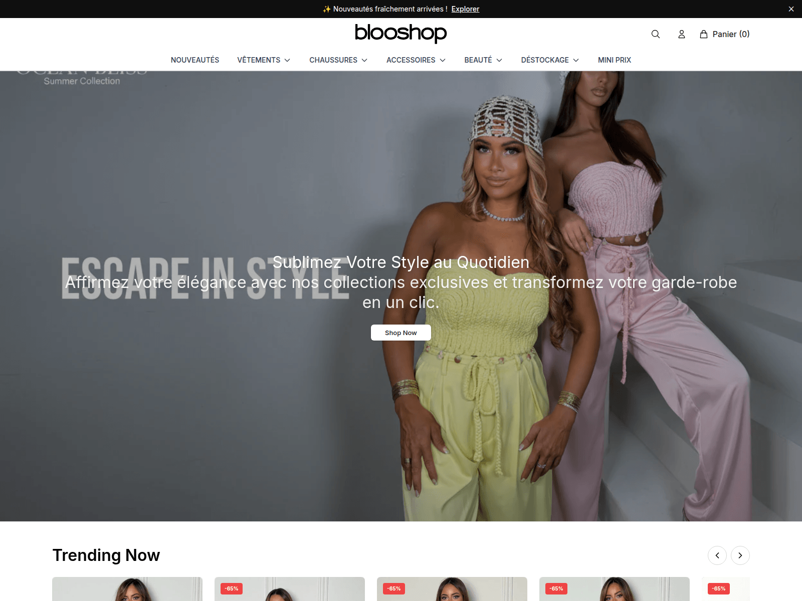 Screenshot of blooshopstore.shop