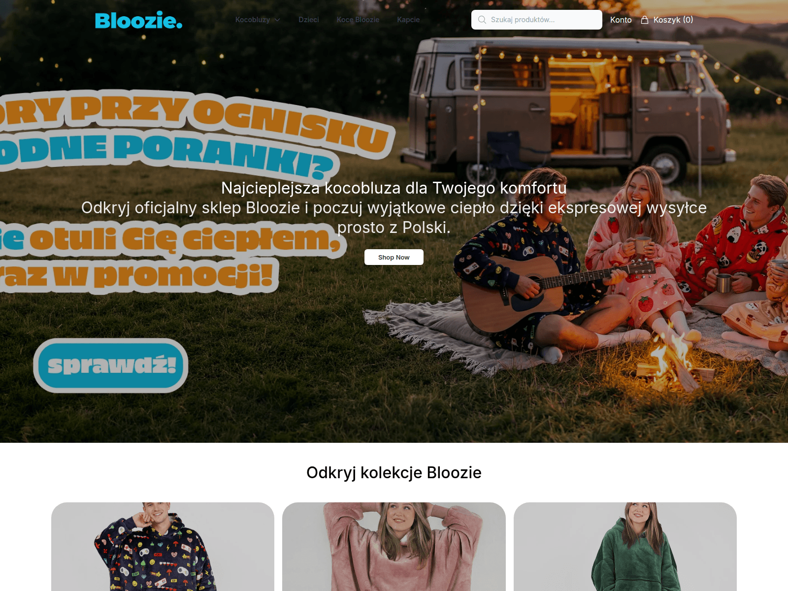 Screenshot of blooziestore.shop