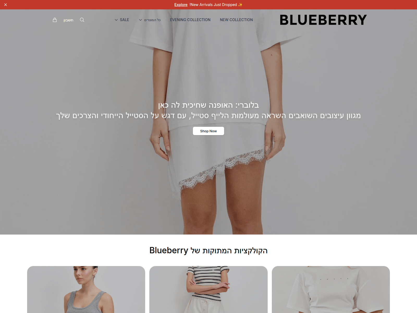Screenshot of blueberryapparel.shop