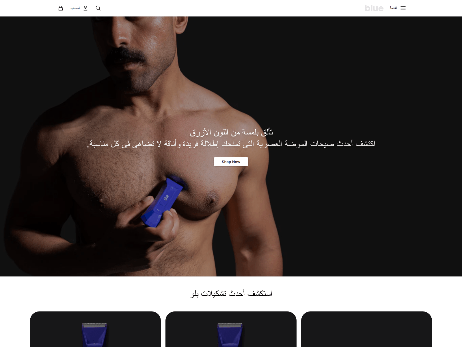 Screenshot of bluebrandwear.shop