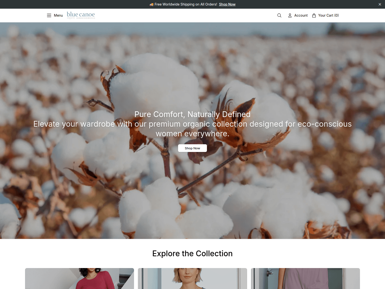 Screenshot of bluecanoedirect.shop