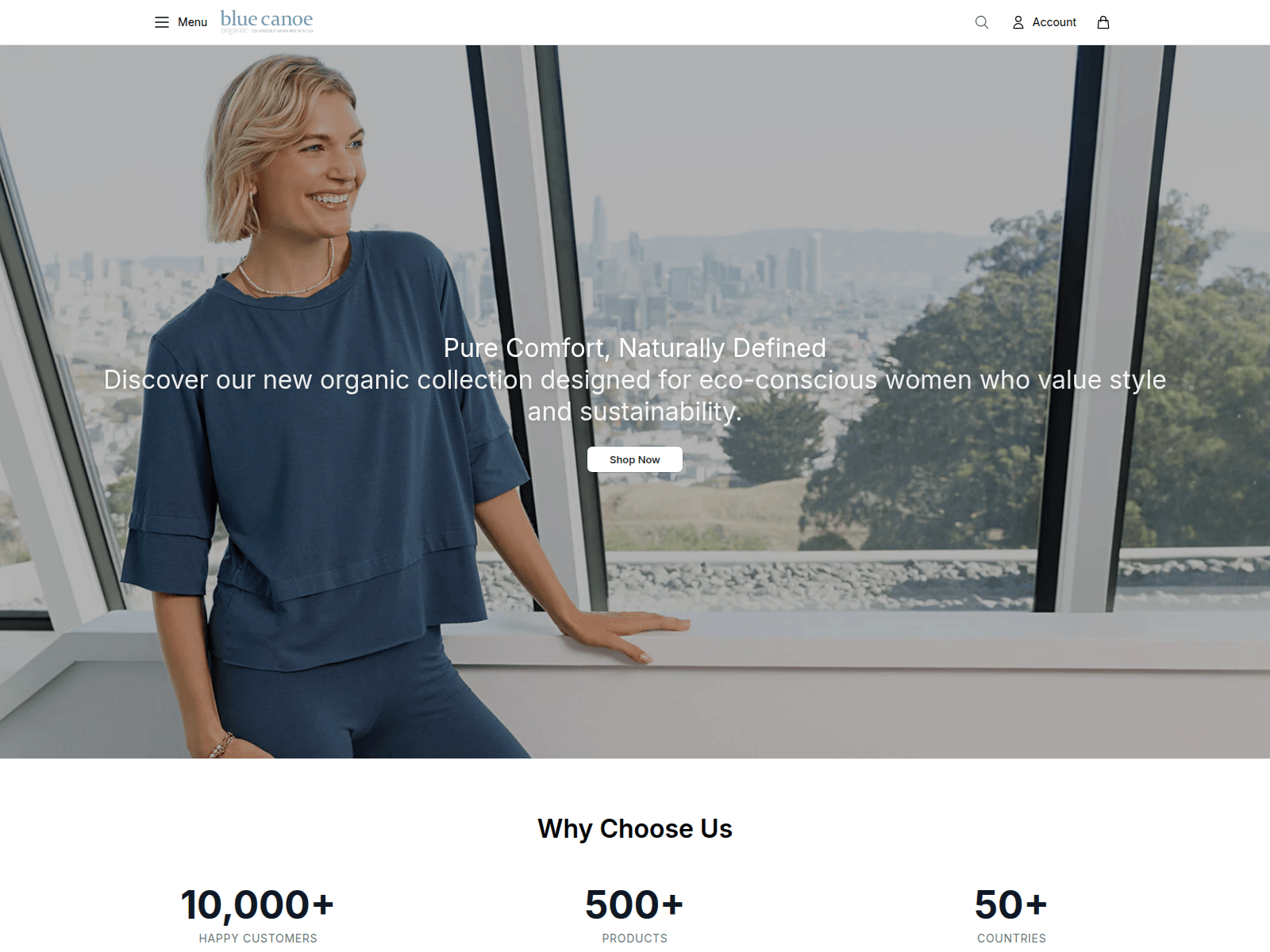 Screenshot of bluecanoeshop.shop