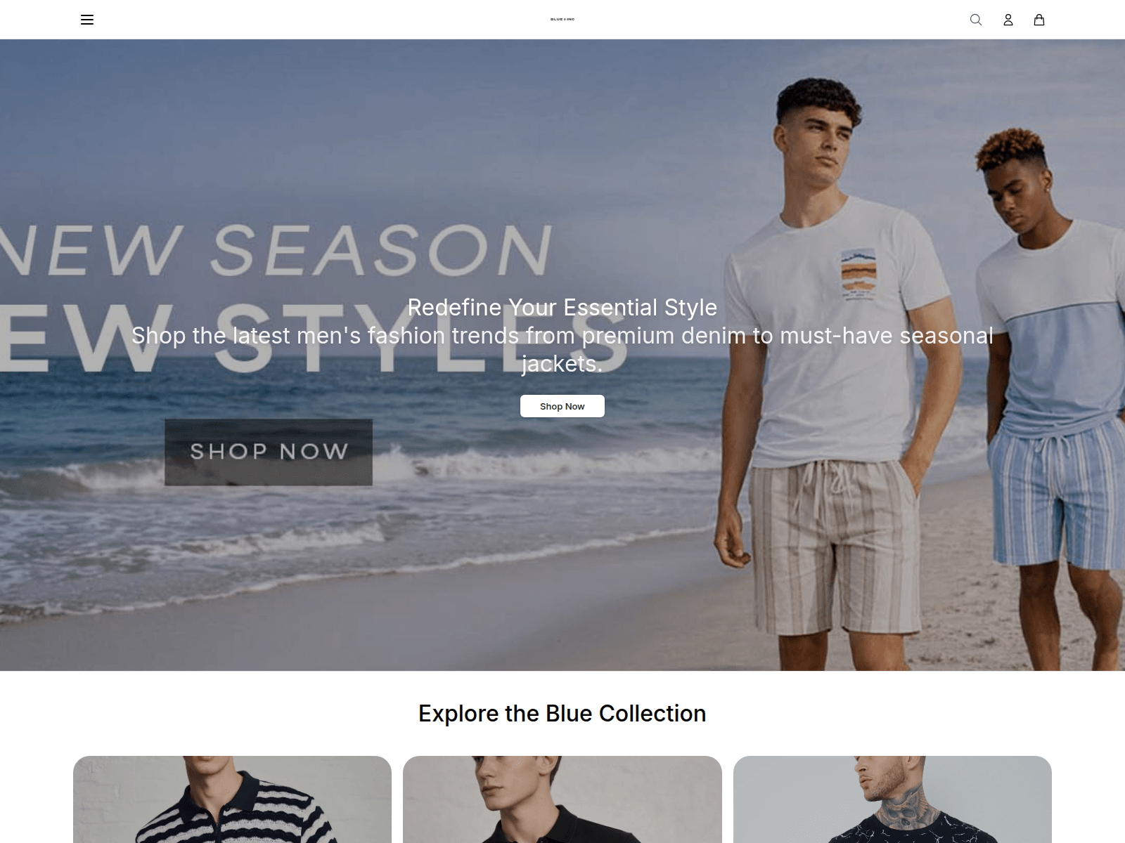 Screenshot of blueincstore.shop