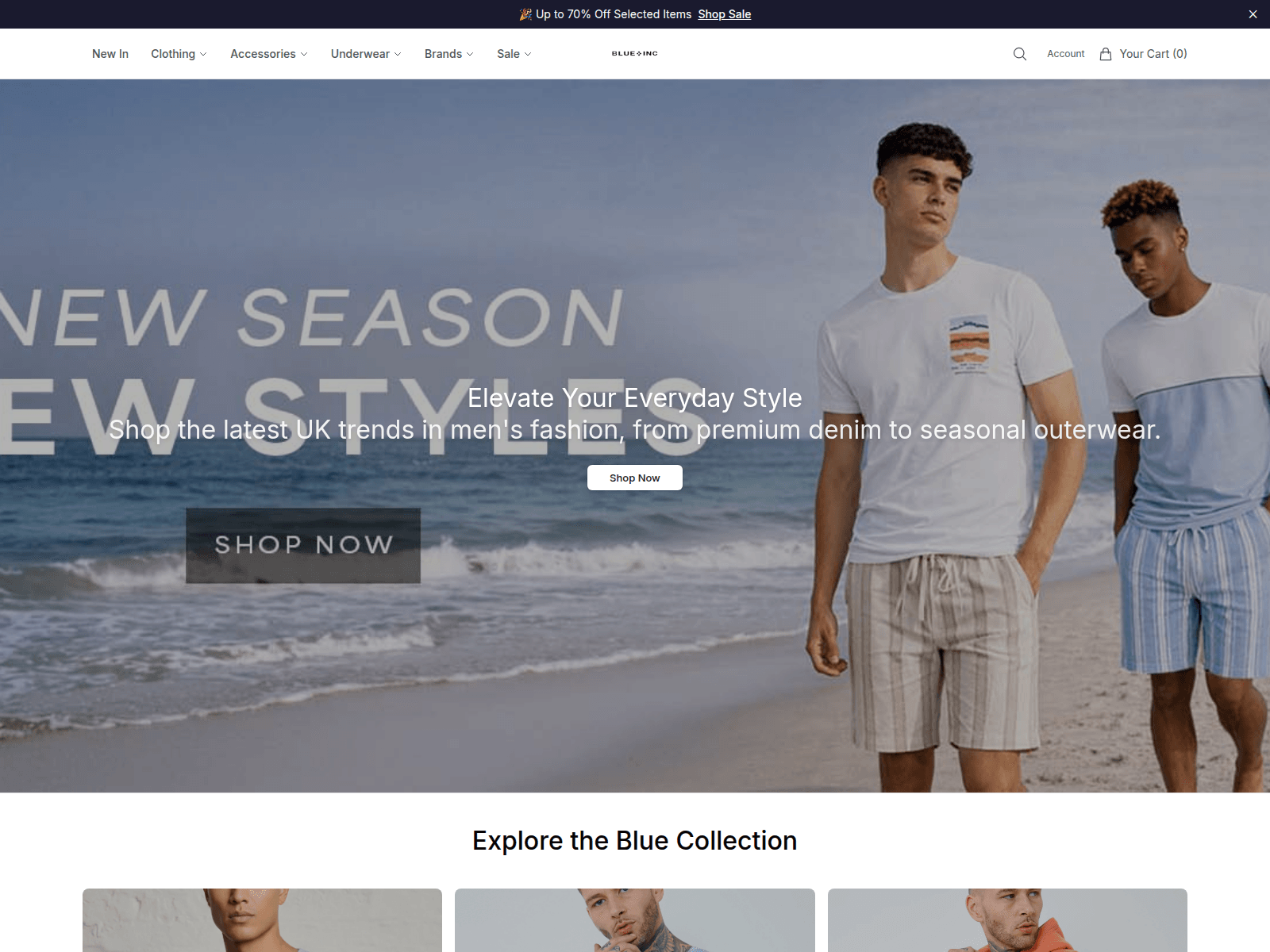 Screenshot of blueincshop.shop