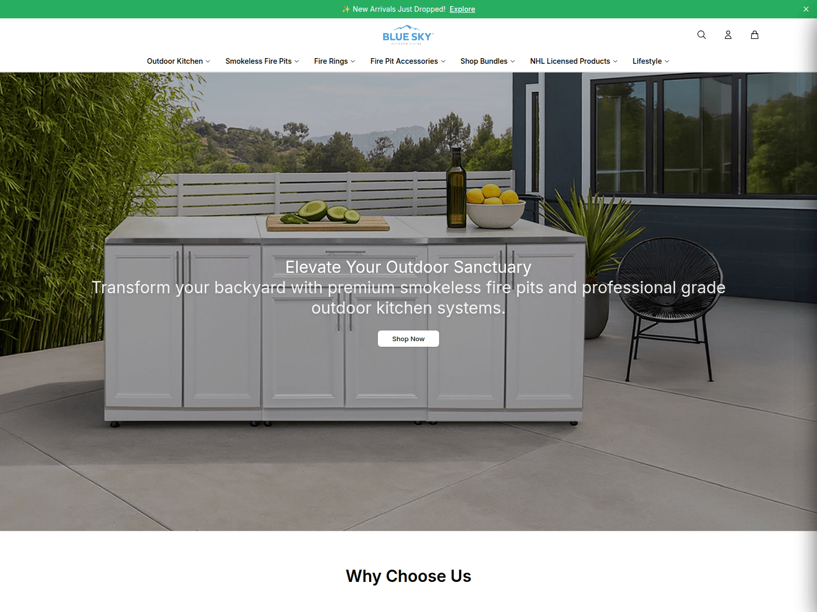 Screenshot of blueskyoutdoorlivinghq.shop