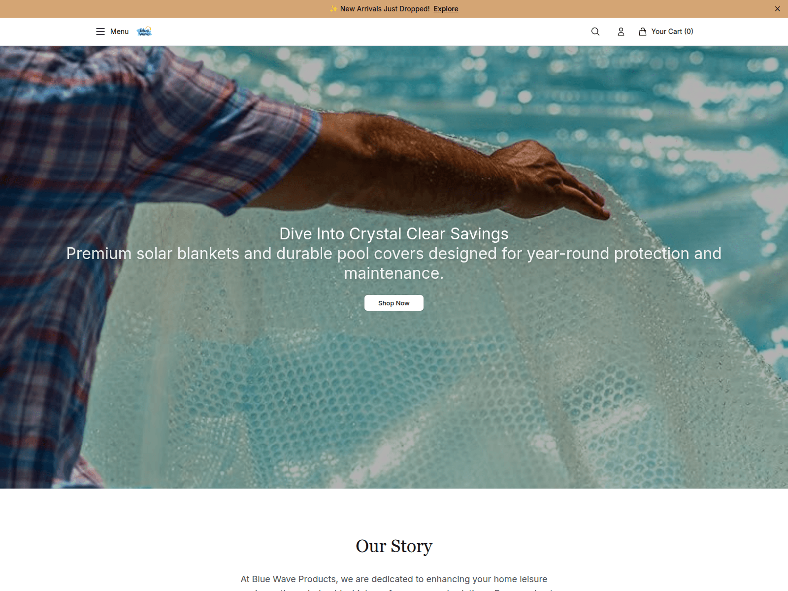 Screenshot of bluewaveproductsdirect.shop