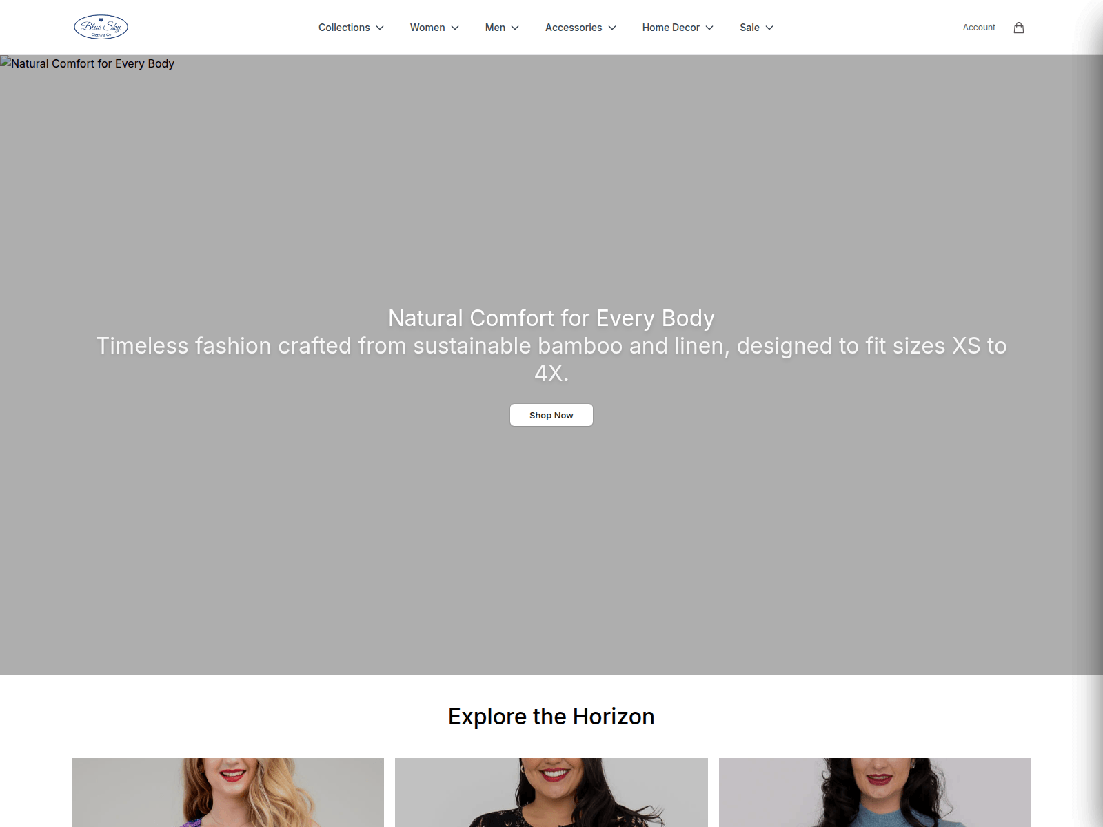 Screenshot of blueskyclothinghq.shop