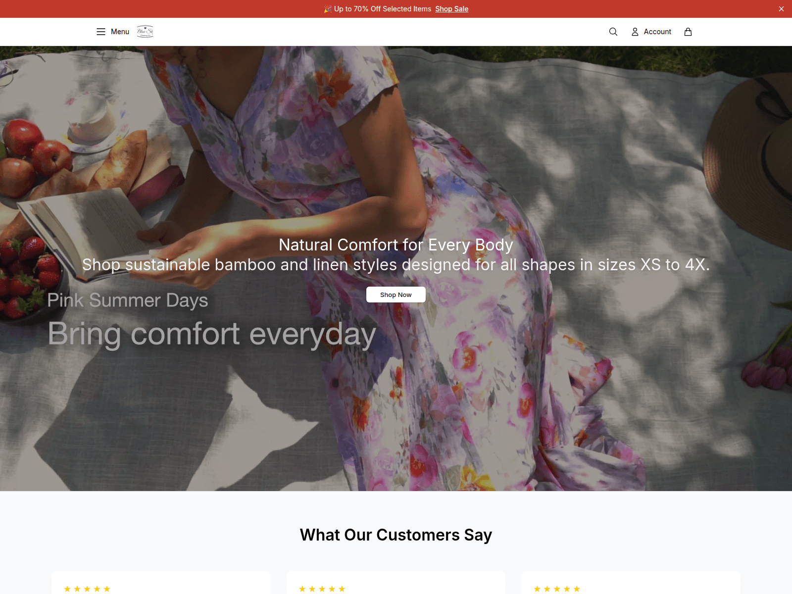 Screenshot of blueskyclothingshop.shop