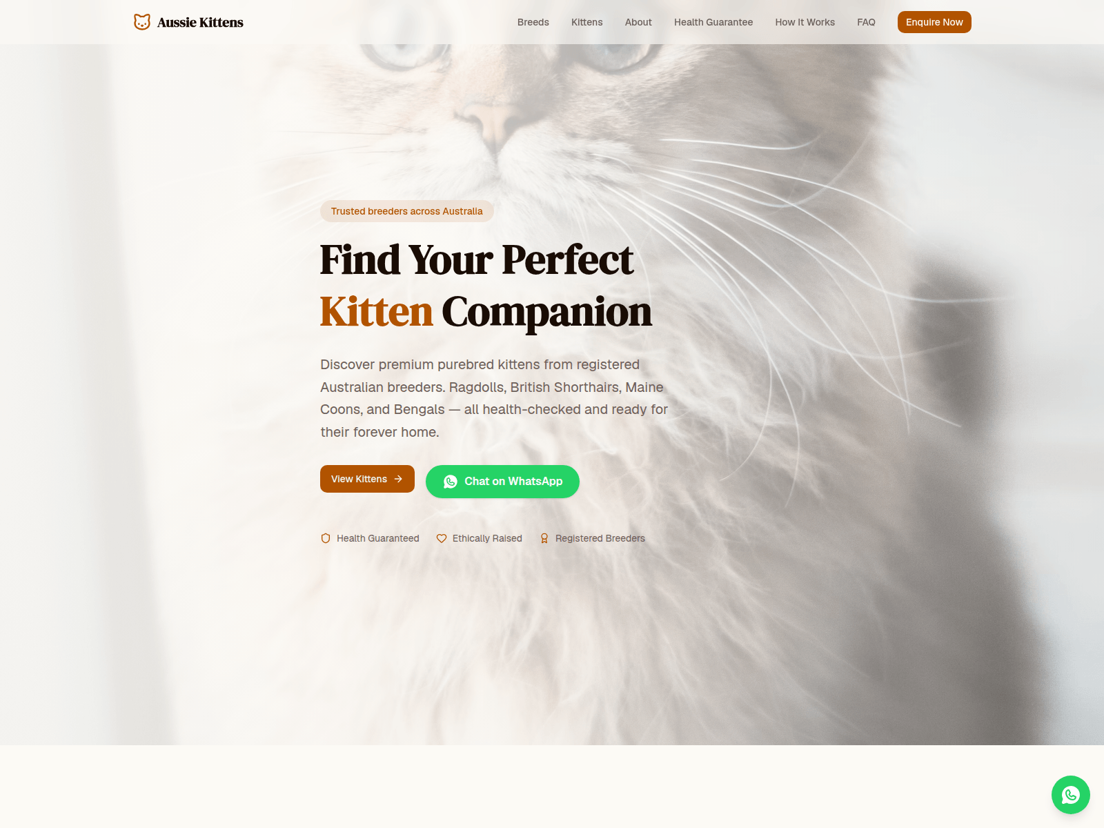 Screenshot von kittensplace.com