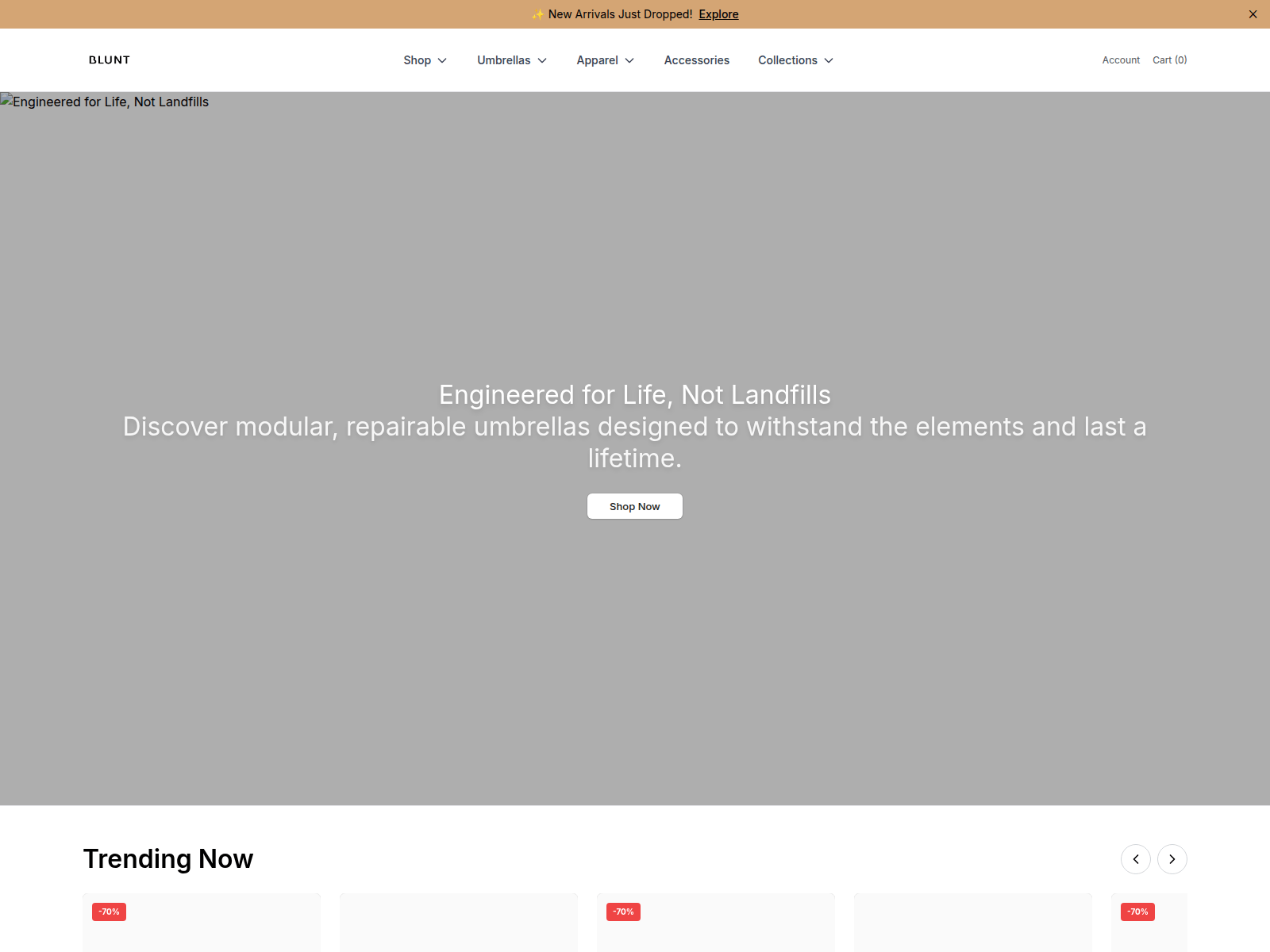 Screenshot of bluntumbrellasshop.shop