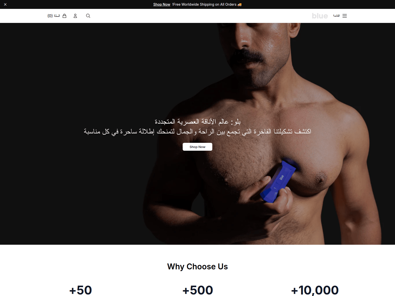 Screenshot of bluvent.shop
