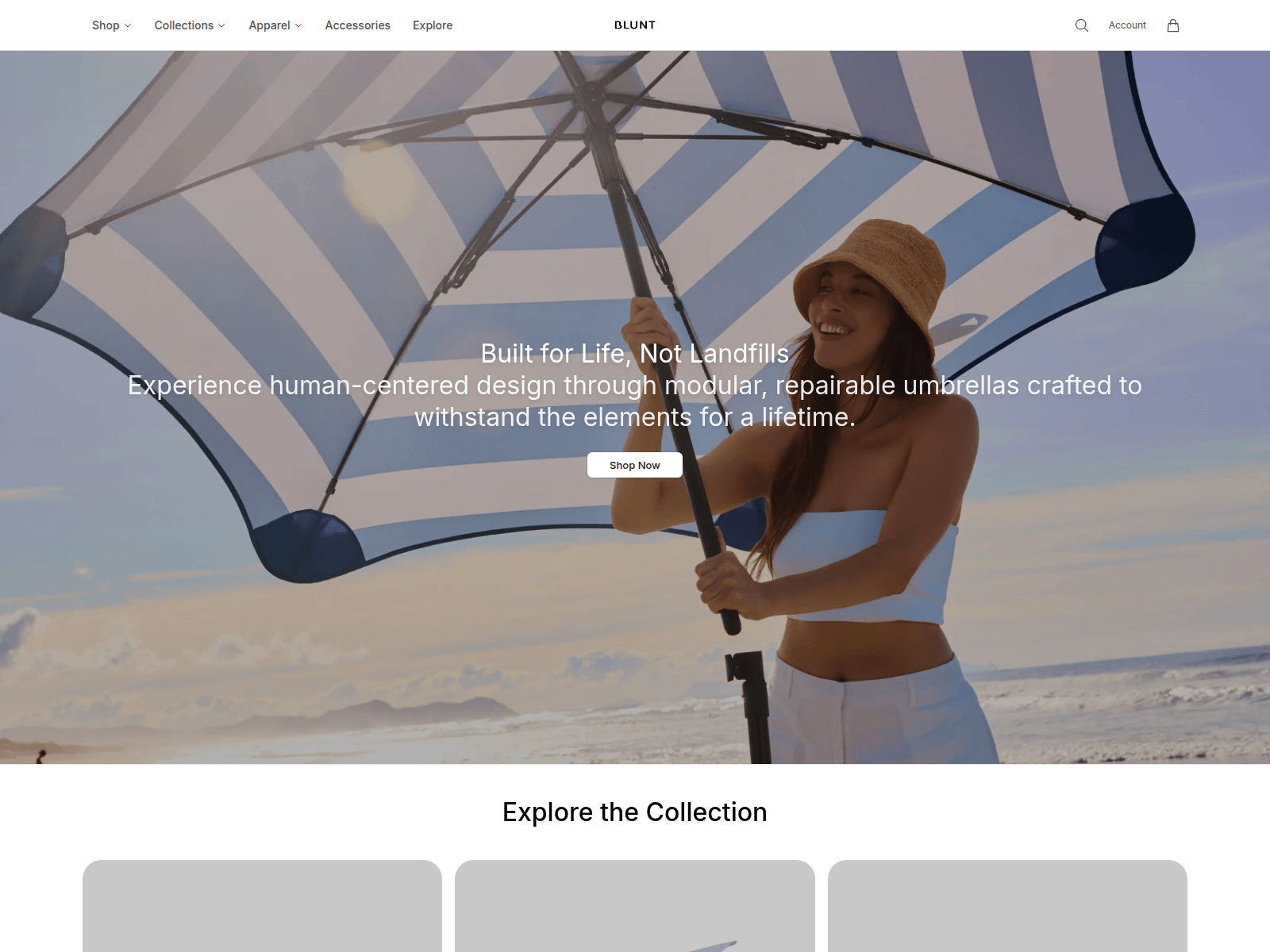 Screenshot of bluntumbrellasglobal.shop