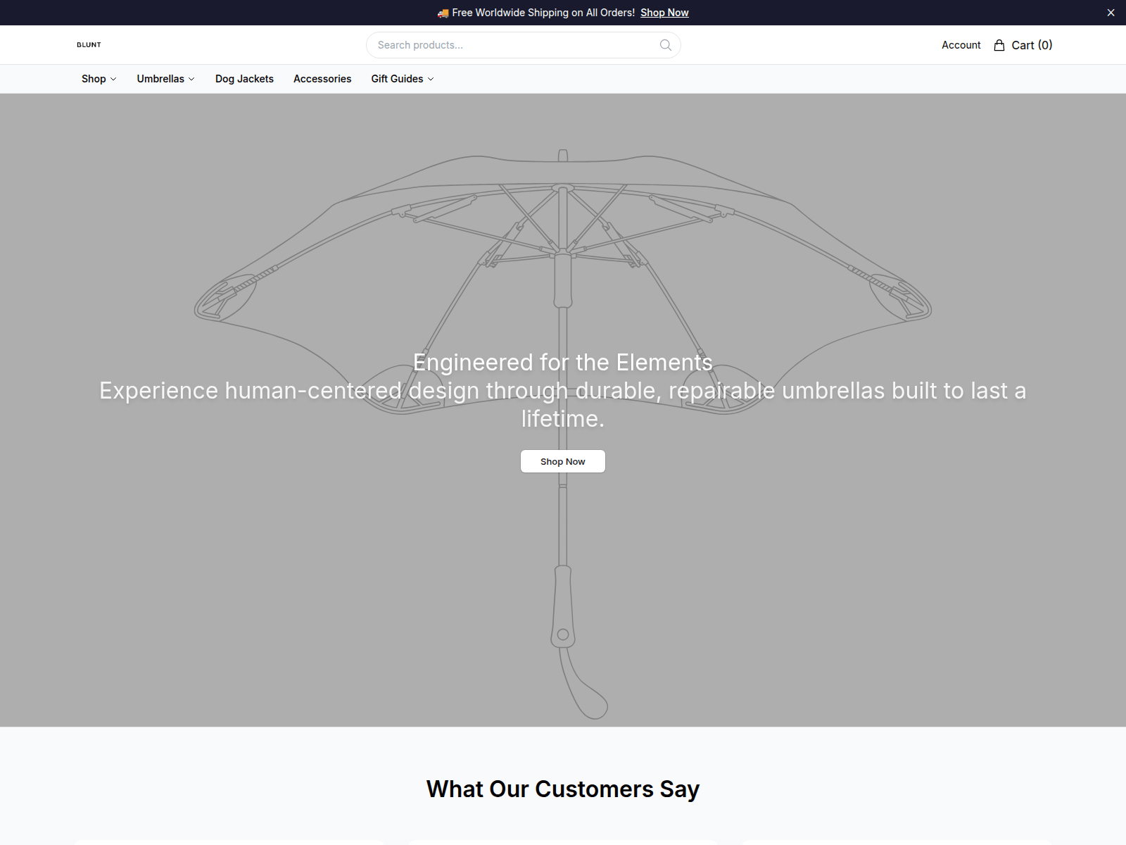 Screenshot of bluntumbrellasstore.shop