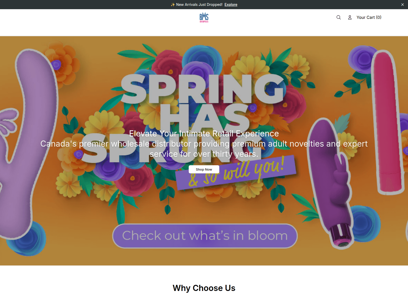 Screenshot of bmshealthylivingstore.shop