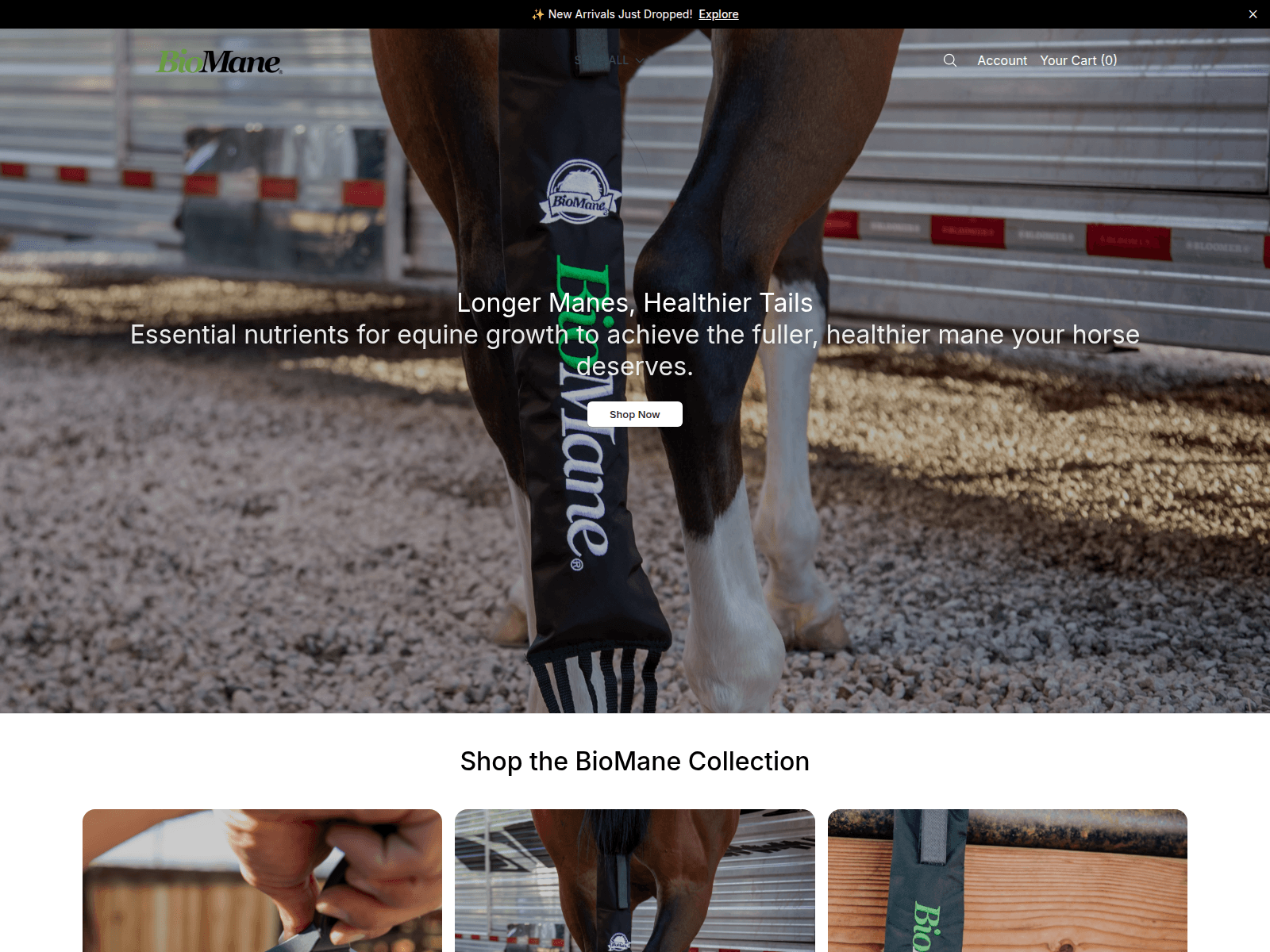 Screenshot of bmnaturals.shop