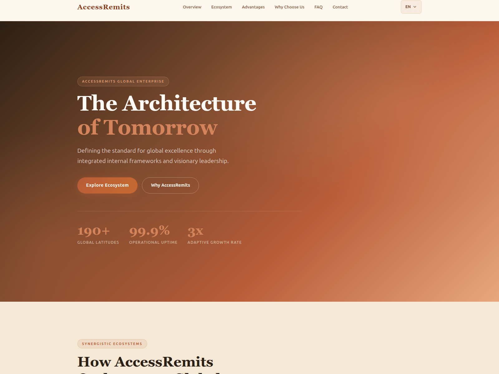 Screenshot of accessremits.net