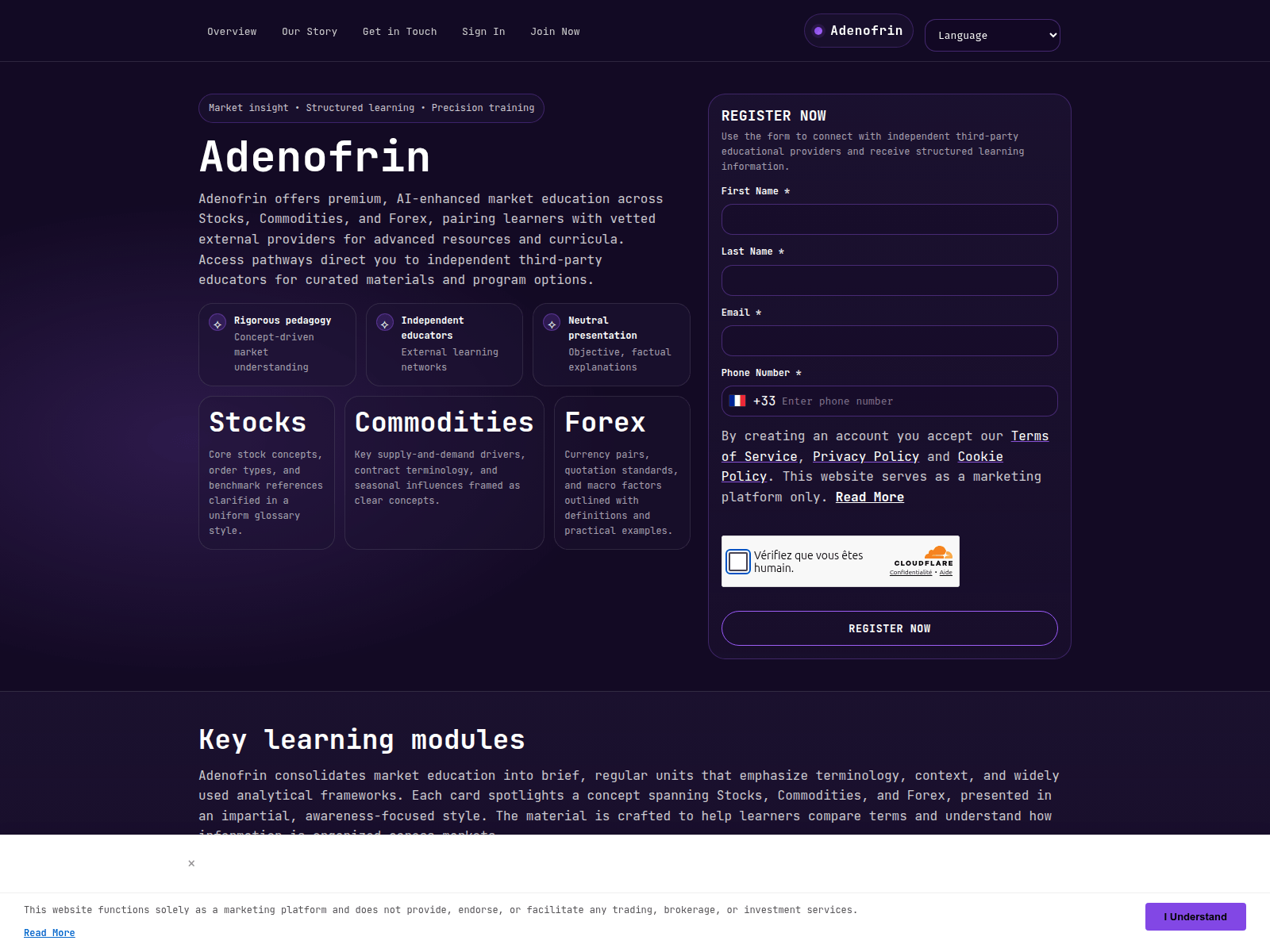 Screenshot of adenofrin.click
