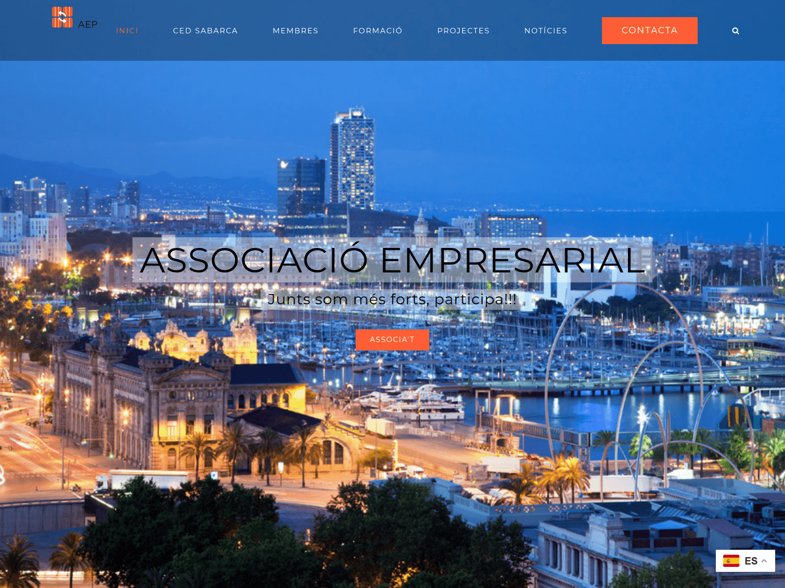 Screenshot of aepedrosa.com