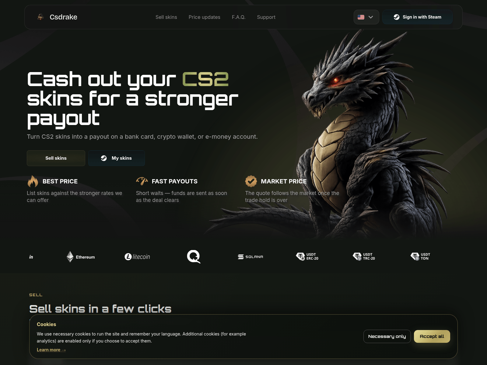 Screenshot of csdrake.com