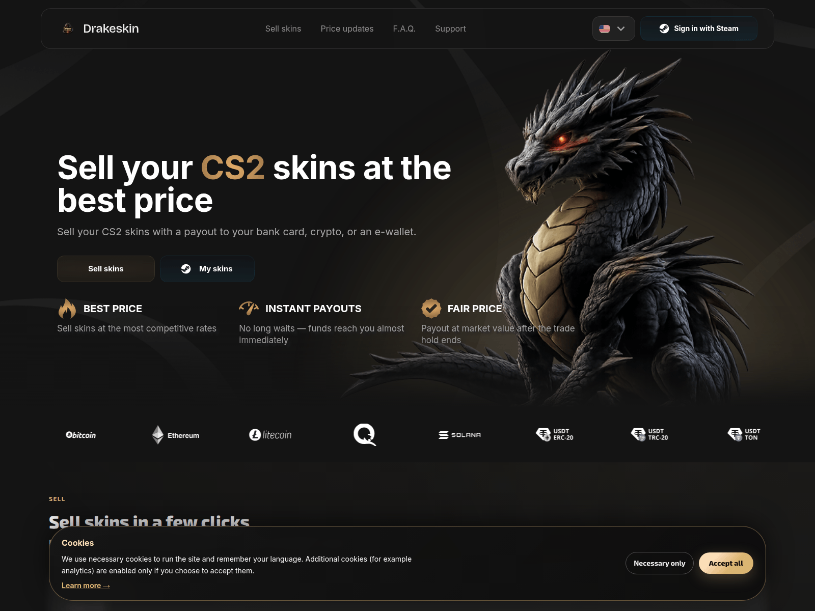 Screenshot of drakeskin.com